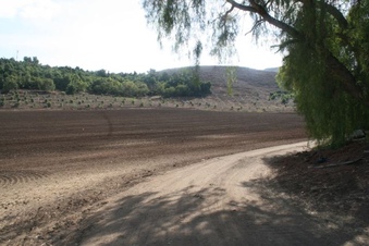 Enlarge photo 72