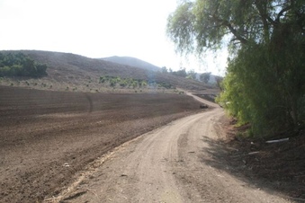 Enlarge photo 73
