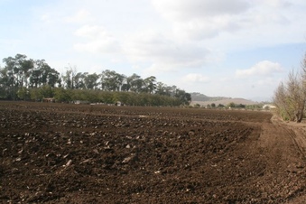 Enlarge photo 87