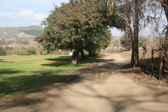 Enlarge photo 90