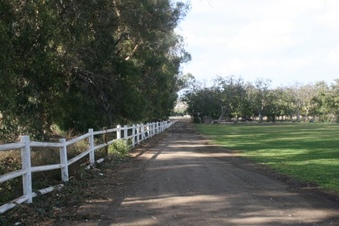 Enlarge photo 92
