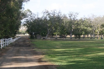 Enlarge photo 93