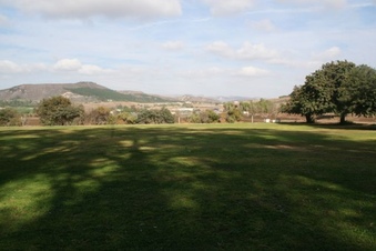 Enlarge photo 95