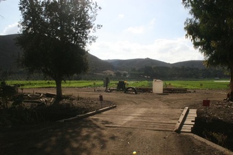 Enlarge photo 97