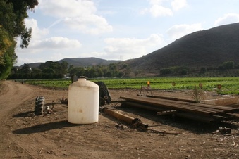 Enlarge photo 102