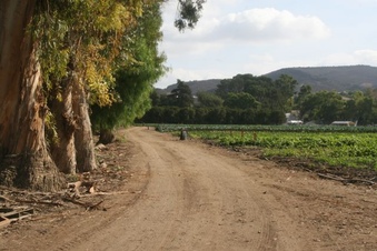 Enlarge photo 103