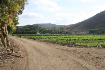 Enlarge photo 104