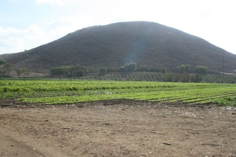 Enlarge photo 105
