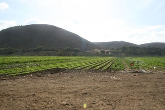 Enlarge photo 106