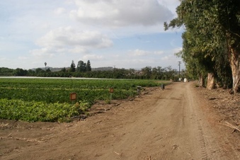Enlarge photo 107
