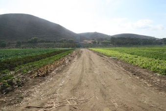 Enlarge photo 109