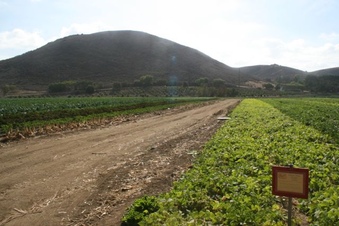 Enlarge photo 110