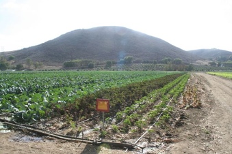 Enlarge photo 111