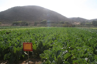 Enlarge photo 114