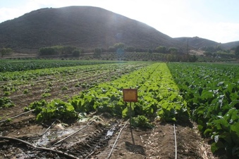Enlarge photo 116