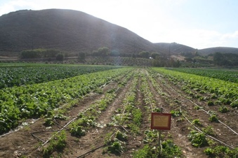 Enlarge photo 117