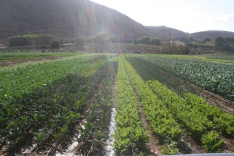 Enlarge photo 119