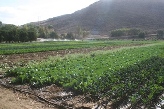 Enlarge photo 120