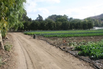 Enlarge photo 121