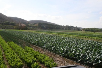 Enlarge photo 122