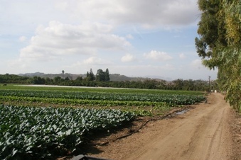 Enlarge photo 123