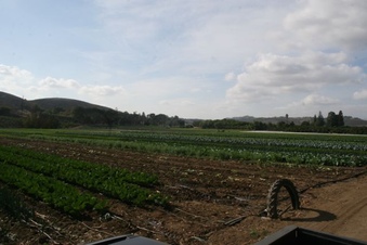 Enlarge photo 126