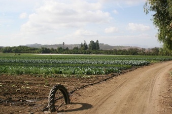 Enlarge photo 127