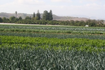 Enlarge photo 131