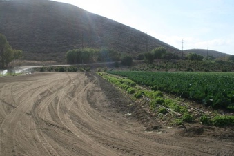 Enlarge photo 132