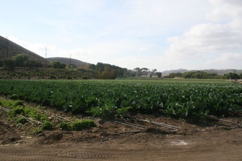 Enlarge photo 133