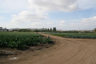 Enlarge photo 134
