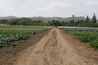 Enlarge photo 136