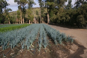 Enlarge photo 137