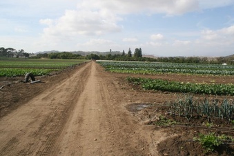 Enlarge photo 142