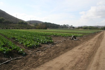 Enlarge photo 143