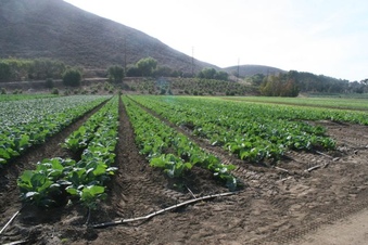 Enlarge photo 144