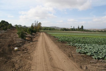 Enlarge photo 147