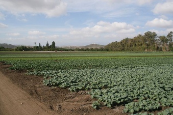 Enlarge photo 148