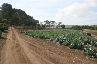 Enlarge photo 151