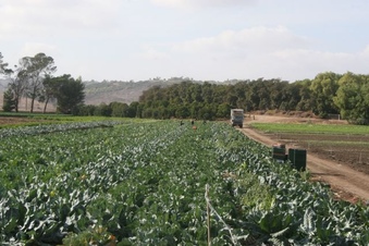 Enlarge photo 152