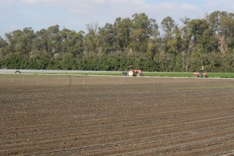 Enlarge photo 154