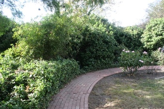 Enlarge photo 187