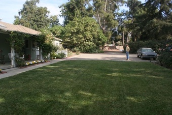 Enlarge photo 197