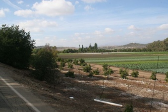 Enlarge photo 226