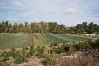 Enlarge photo 228