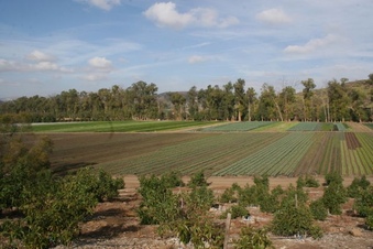 Enlarge photo 229