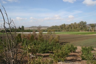 Enlarge photo 230