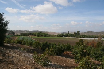 Enlarge photo 231