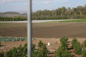 Enlarge photo 233