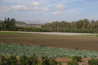 Enlarge photo 234